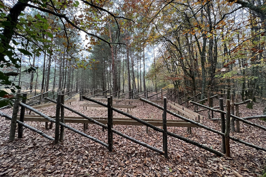 Abeille Noire Atlantique - Apiculture en Loire Atlantique