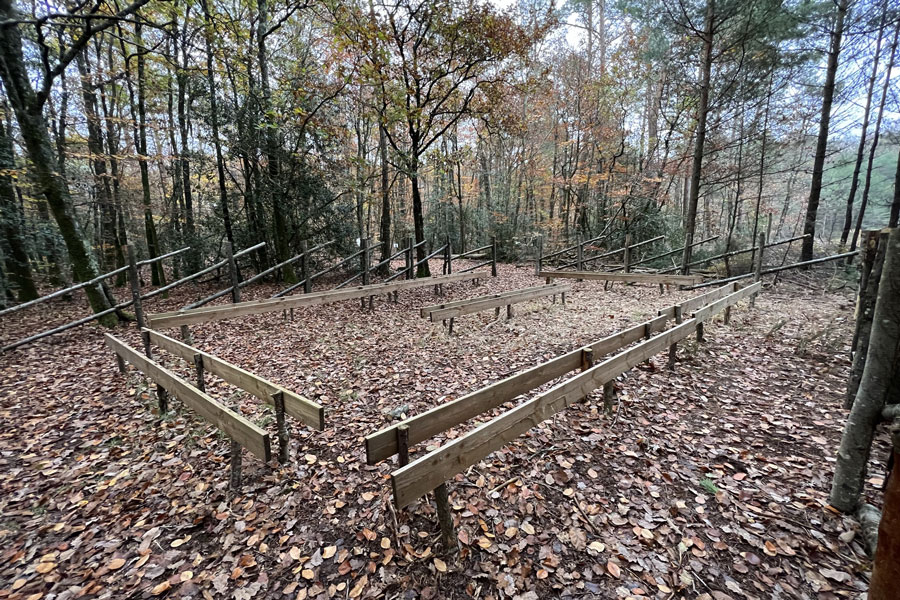 Abeille Noire Atlantique - Apiculture en Loire Atlantique