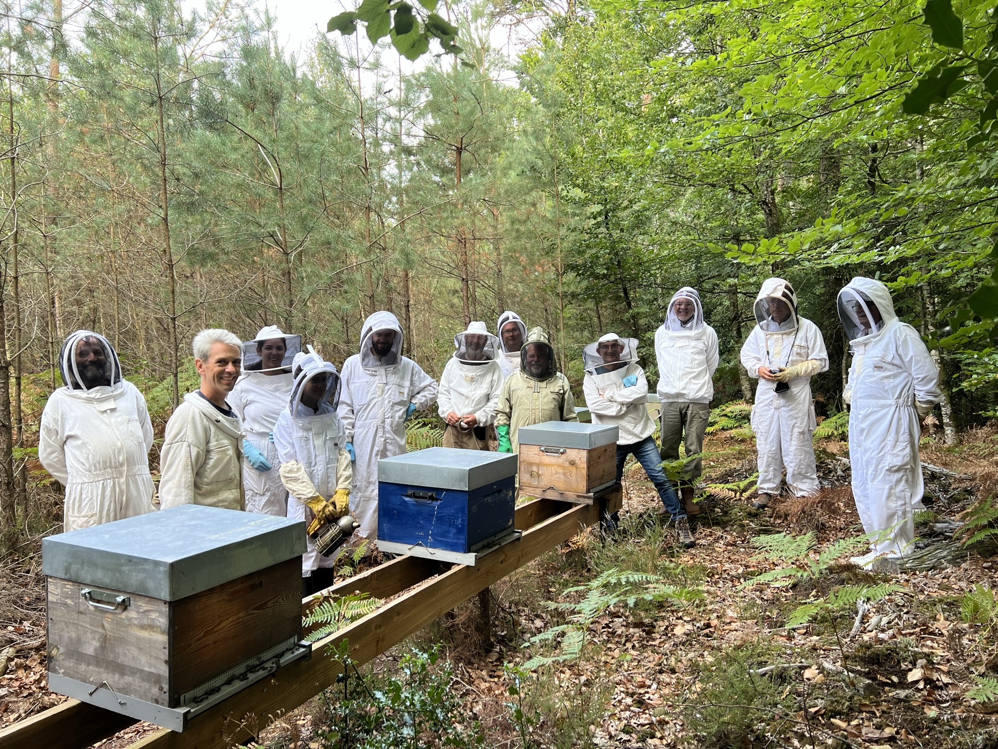 formation rucher Abeille Noire Atlantique