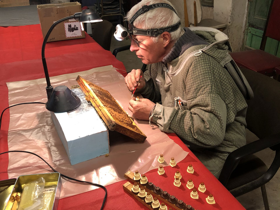 Abeille Noire Atlantique - Apiculture en Loire Atlantique