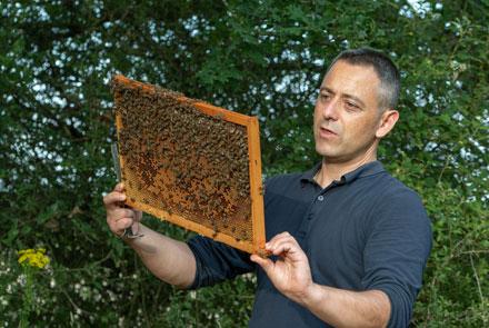 Cédric OUARY - Vice-président Abeille Noire Atlantique